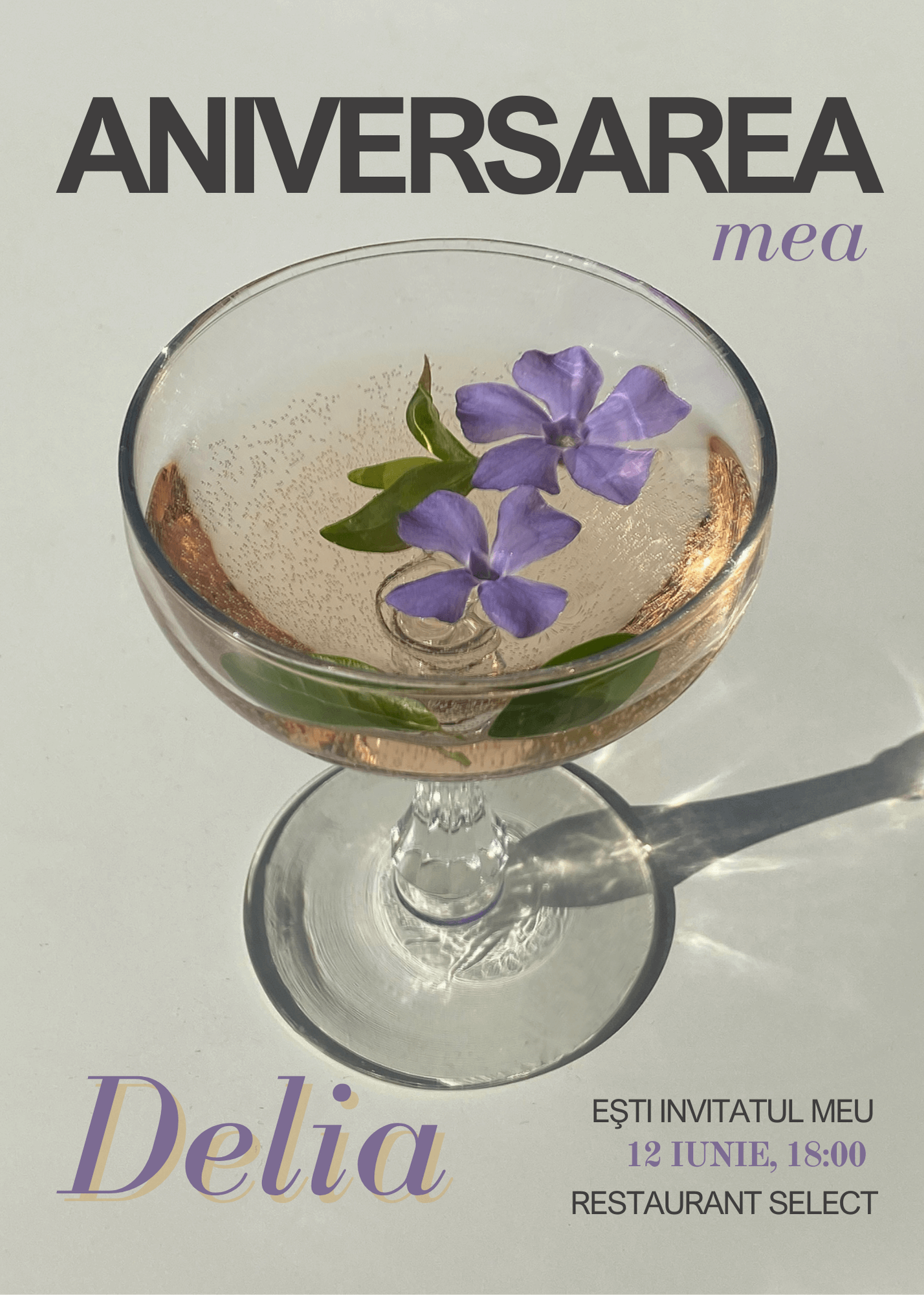 Invitatie digitala aniversare model 11