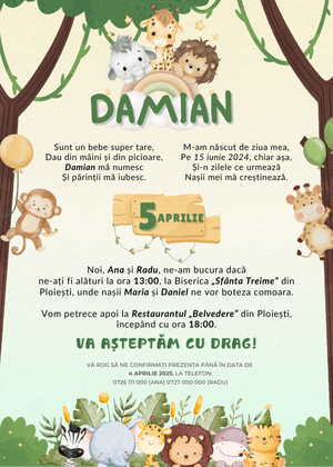 Invitație Digitală Botez Model 13